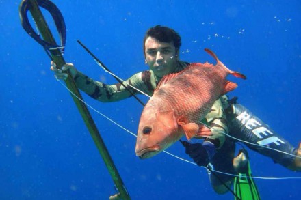 mariospearfishing33